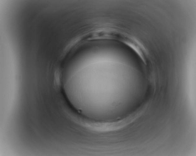 X0000113920023200910011521