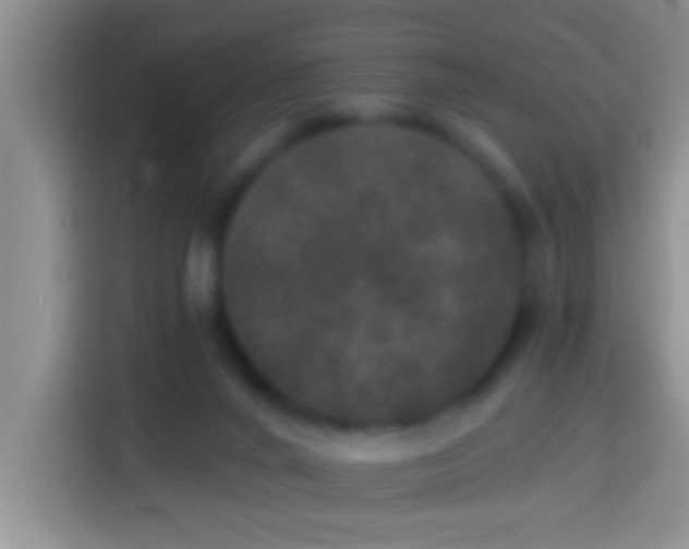 X0000113920024200910011521