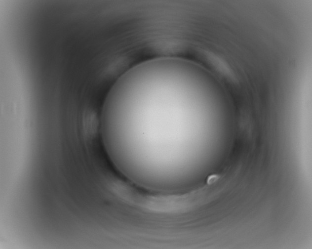 X0000113920025200910011521