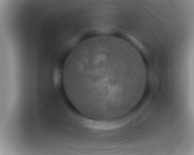 X0000113920026200910011521