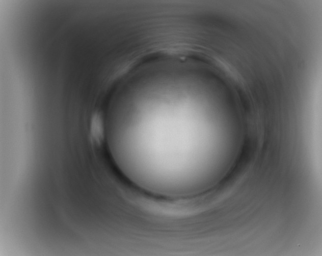 X0000113920028200910011521