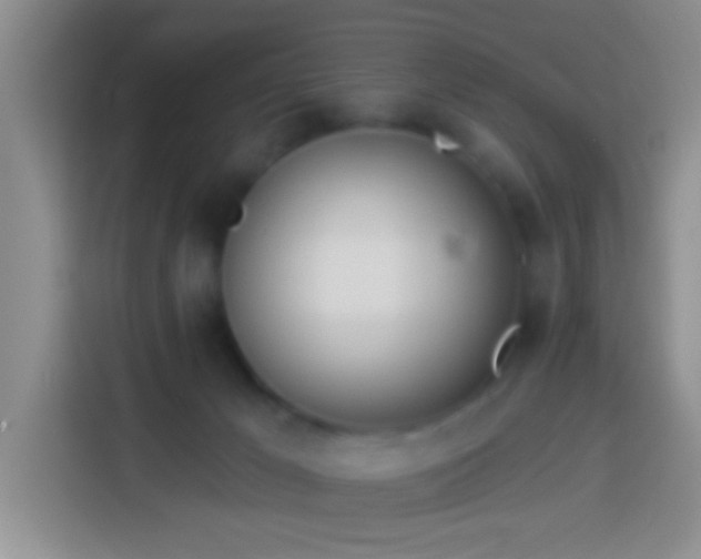 X0000113920029200910011521