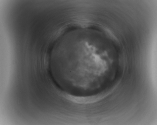 X0000113920030200910011521