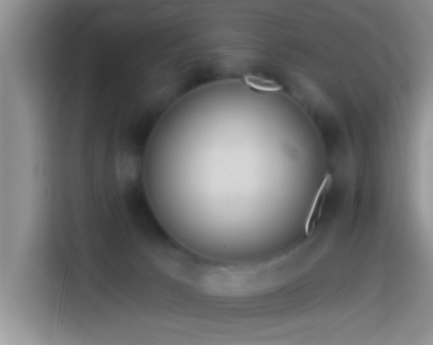 X0000113920033200910011521