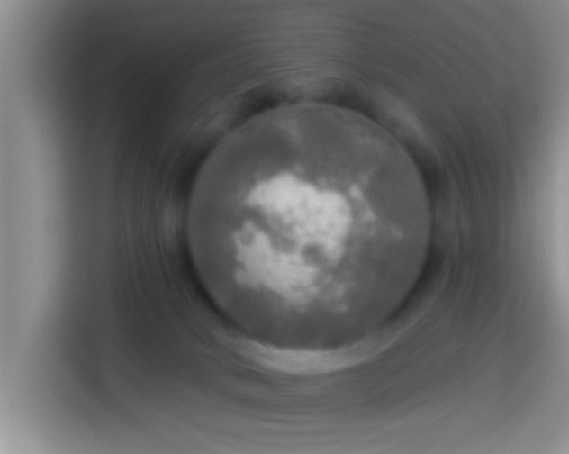 X0000113920034200910011521