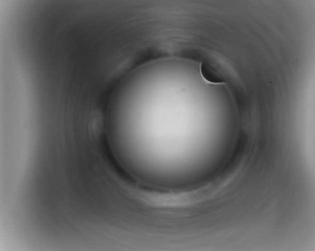 X0000113920036200910011521