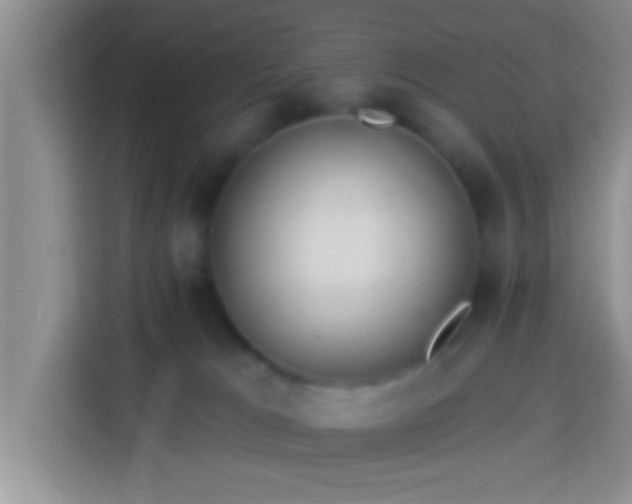 X0000113920037200910011521
