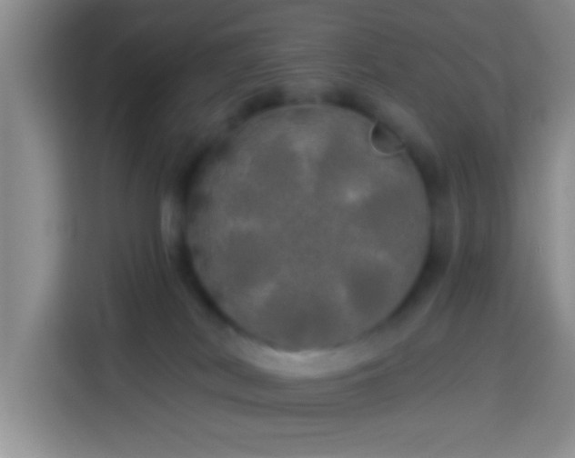 X0000113920038200910011521