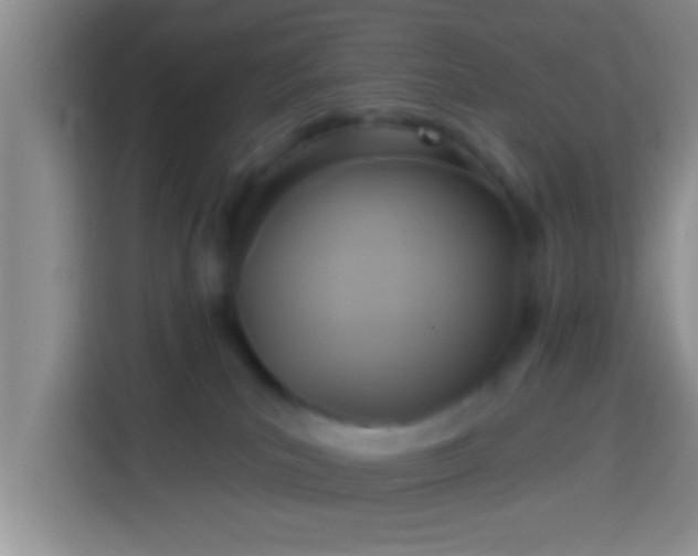X0000113920039200910011521