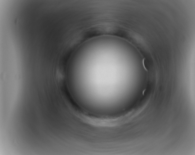 X0000113920040200910011521