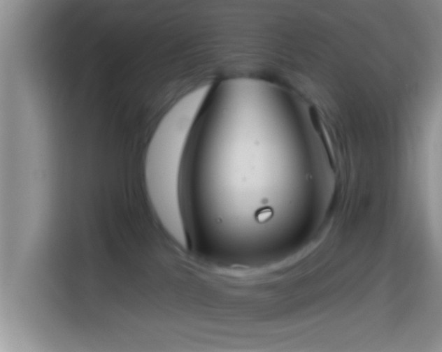 X0000113920041200910011521
