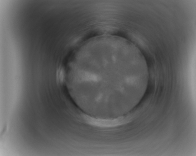 X0000113920042200910011521