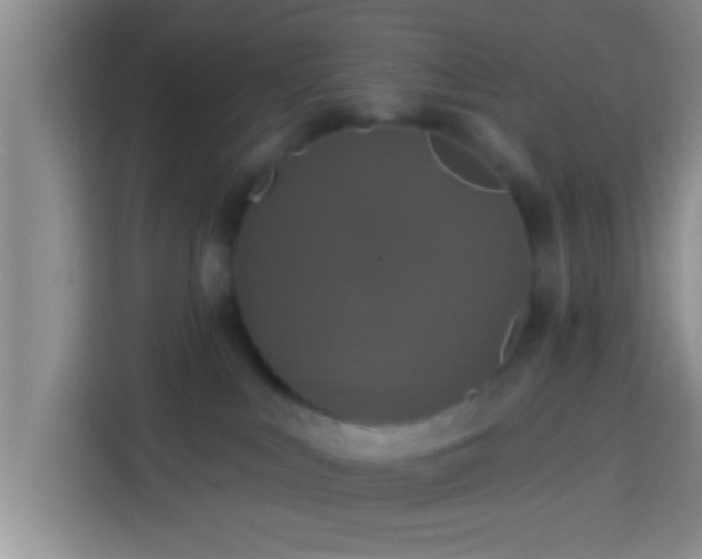 X0000113920043200910011521