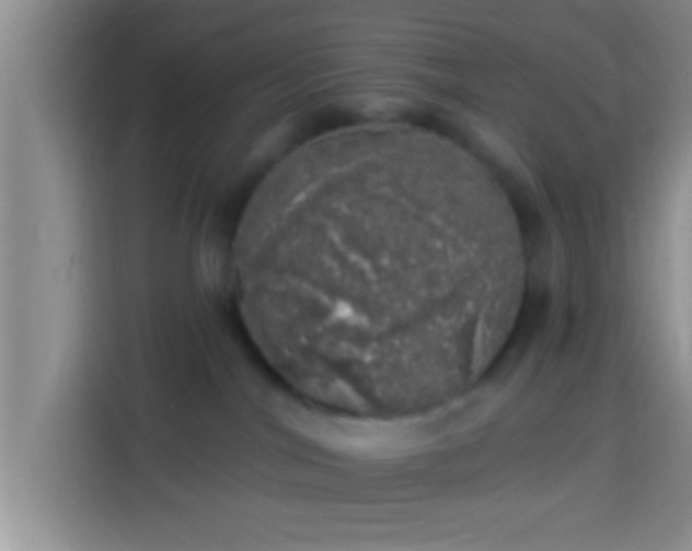 X0000113920044200910011521