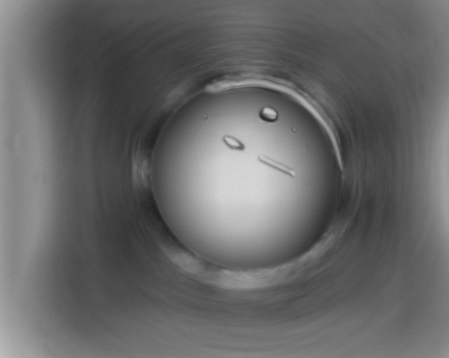 X0000113920045200910011521