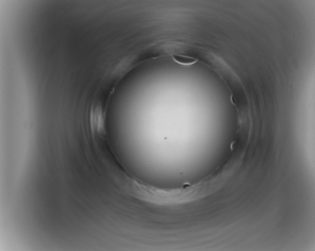 X0000113920046200910011521