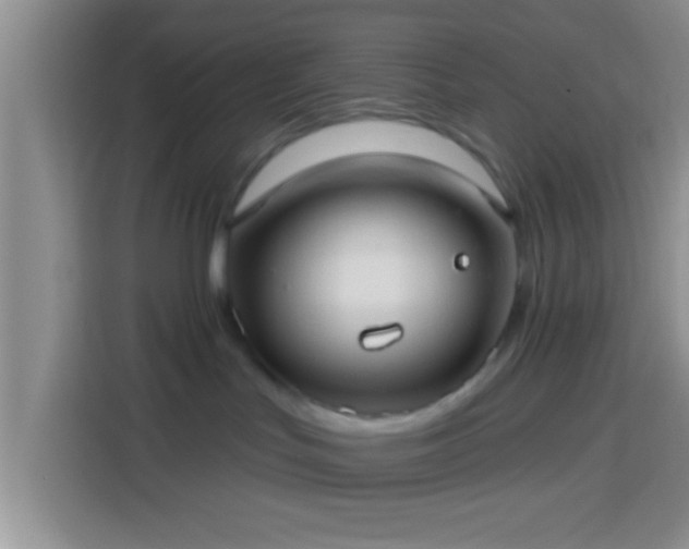 X0000113920047200910011521