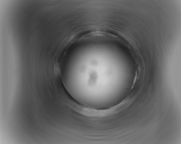 X0000113920048200910011521