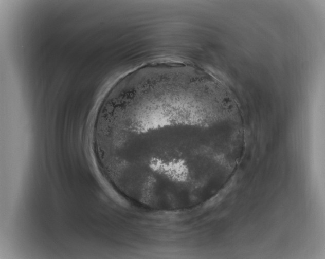 X0000113920049200910011520