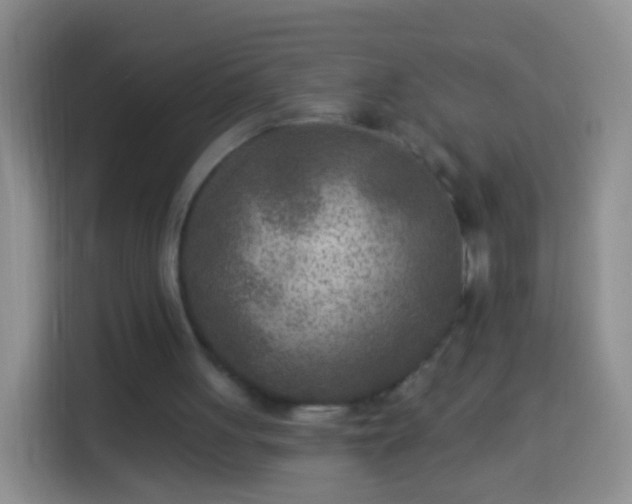 X0000113920051200910011520