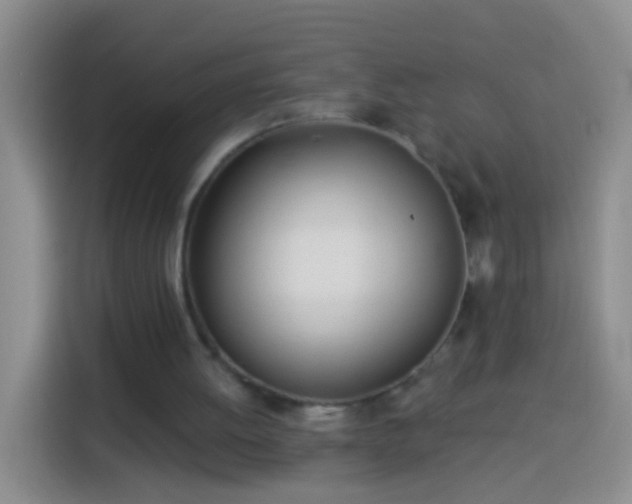 X0000113920052200910011520