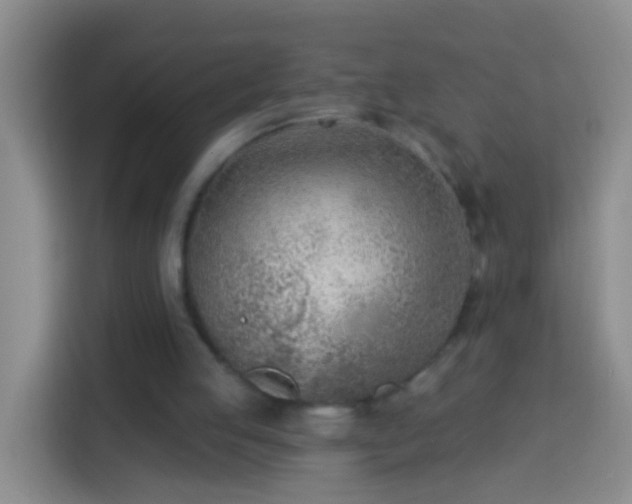 X0000113920053200910011520