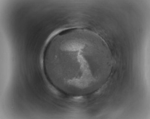 X0000113920054200910011520