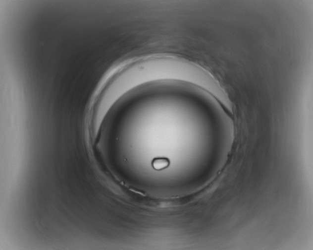 X0000113920056200910011520
