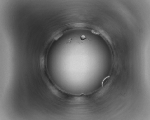 X0000113920057200910011520
