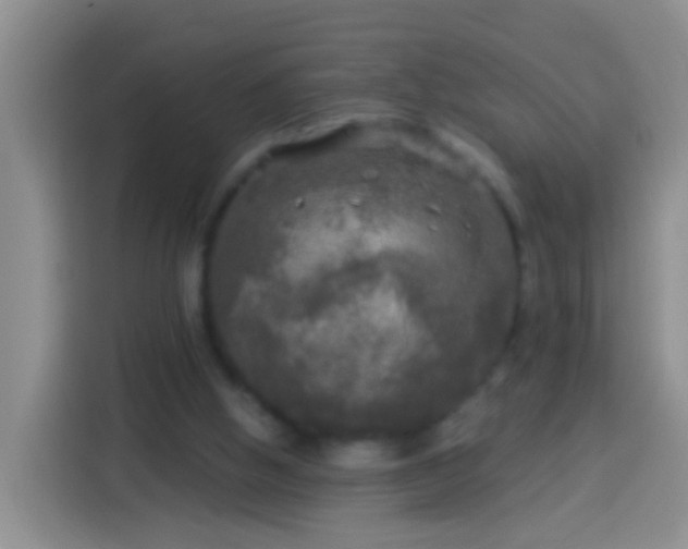 X0000113920058200910011520
