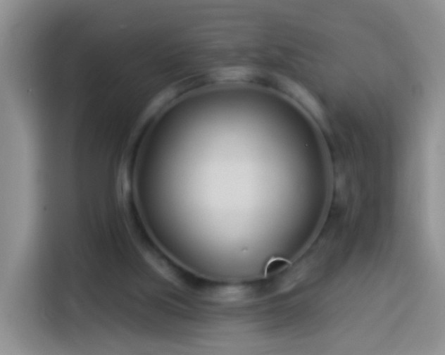 X0000113920059200910011520