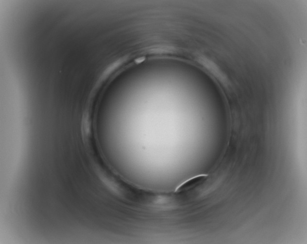 X0000113920060200910011520