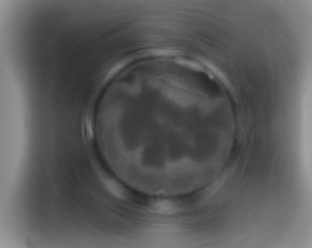 X0000113920062200910011520