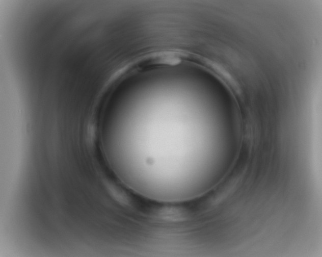 X0000113920063200910011520