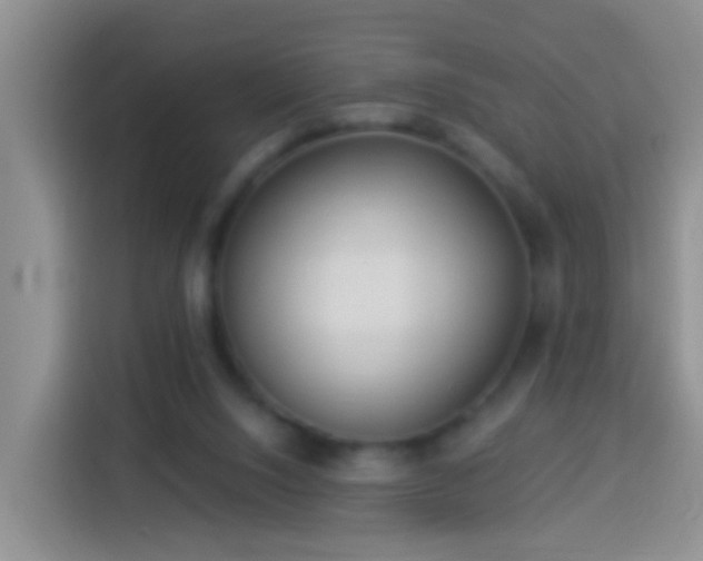 X0000113920064200910011520