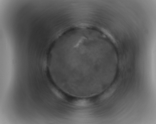 X0000113920065200910011520