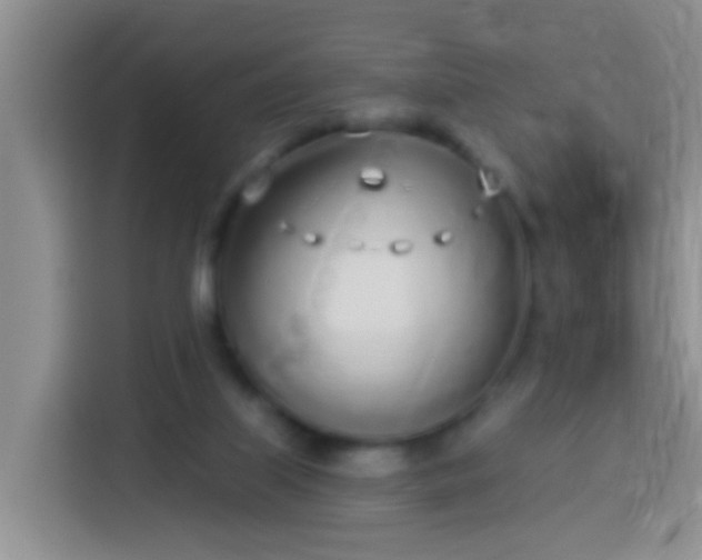 X0000113920067200910011520