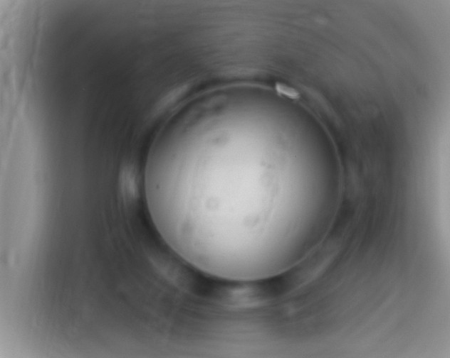 X0000113920068200910011520