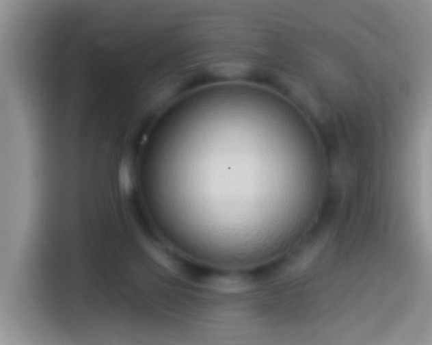 X0000113920069200910011520