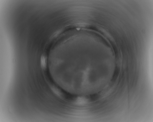 X0000113920070200910011520