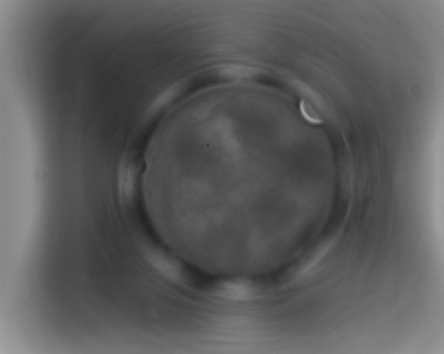 X0000113920071200910011520