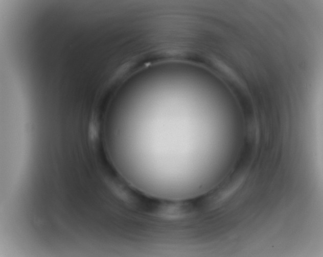 X0000113920072200910011520