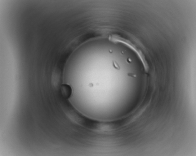 X0000113920073200910011520