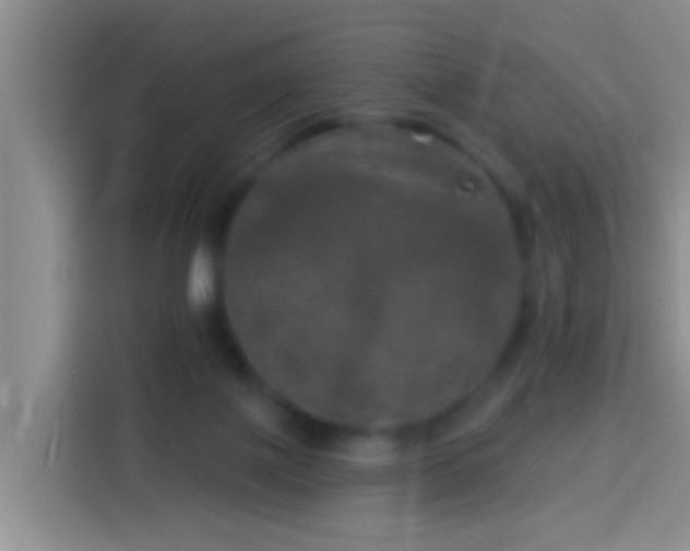 X0000113920075200910011520