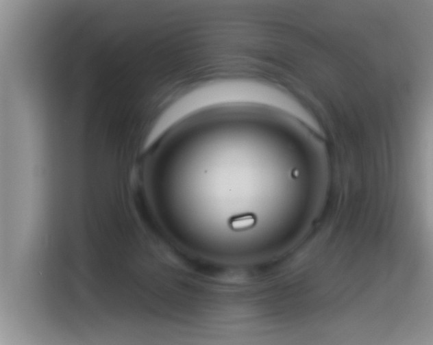 X0000113920076200910011520
