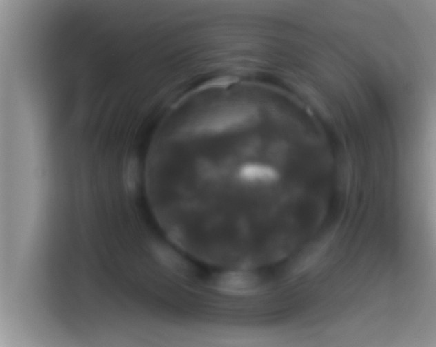 X0000113920077200910011520