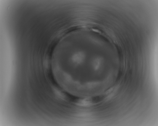 X0000113920078200910011520