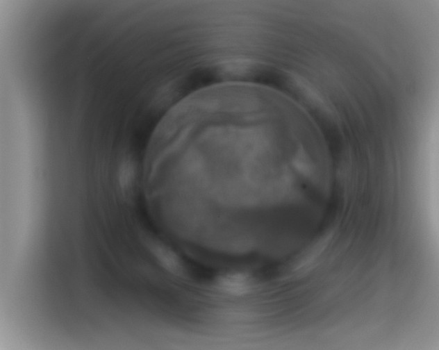 X0000113920079200910011520