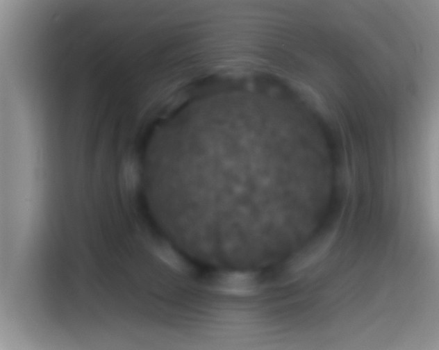 X0000113920081200910011520