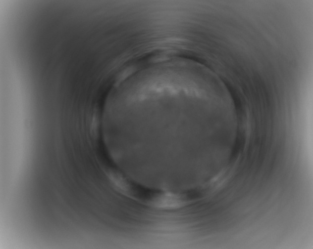 X0000113920082200910011520